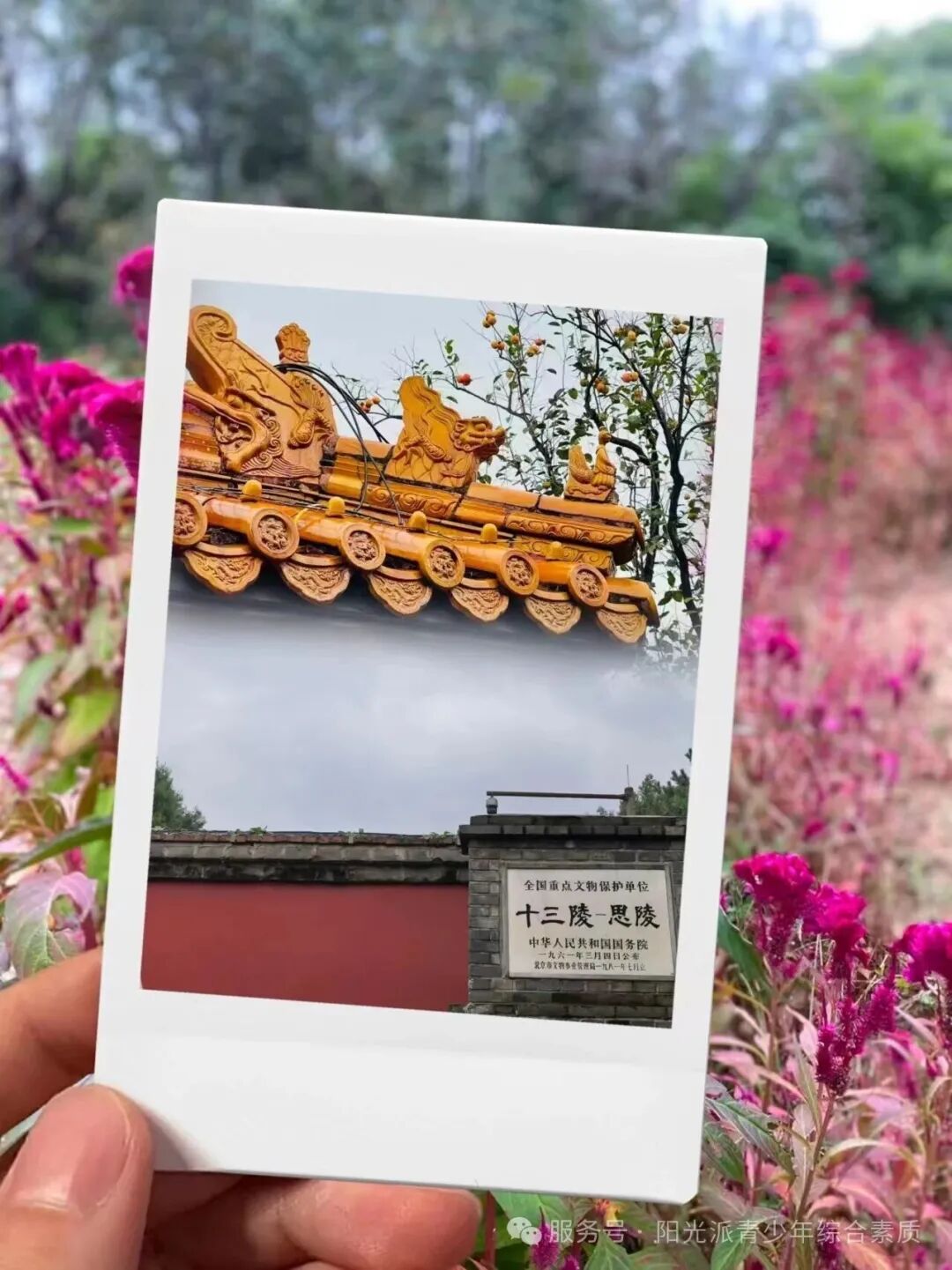 秋访思陵,共护六百年时光!阳光派与东坡志愿队的文保之约