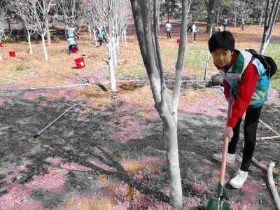 清明假期,我們在昌平區東小口參加“守護翠綠 為愛植行”全民義務植樹盡責志愿服務